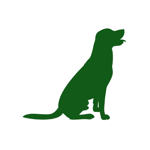 behavioral counseling