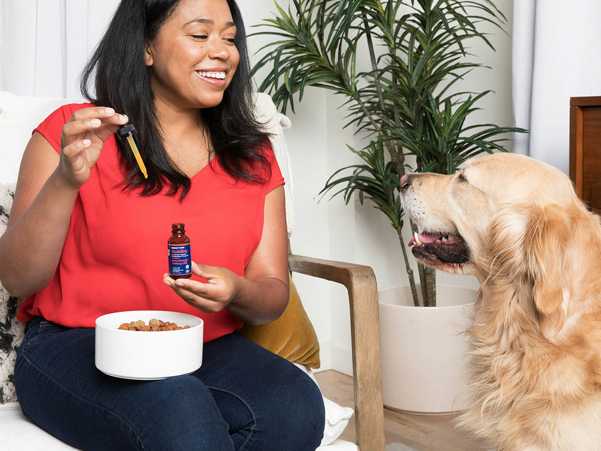 Adding supplement to dog food.