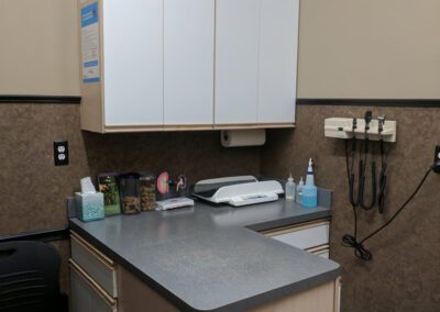 Animal examination table with tools