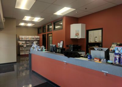 Black cat on reception counter.