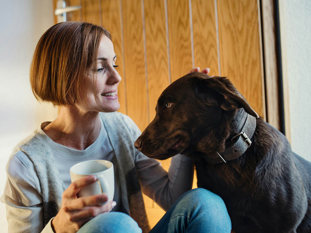 Dog gets head pats, coffee nearby.