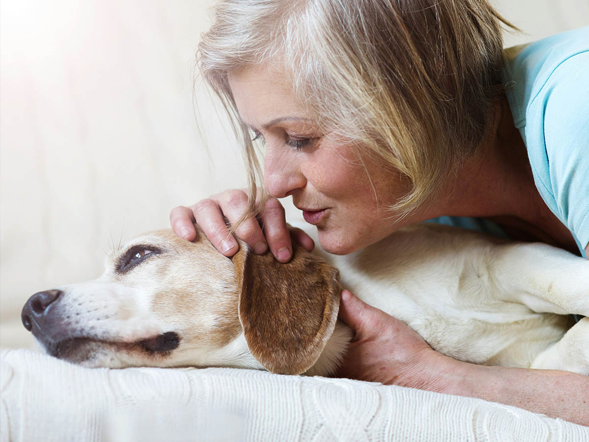 Dog resting with owner