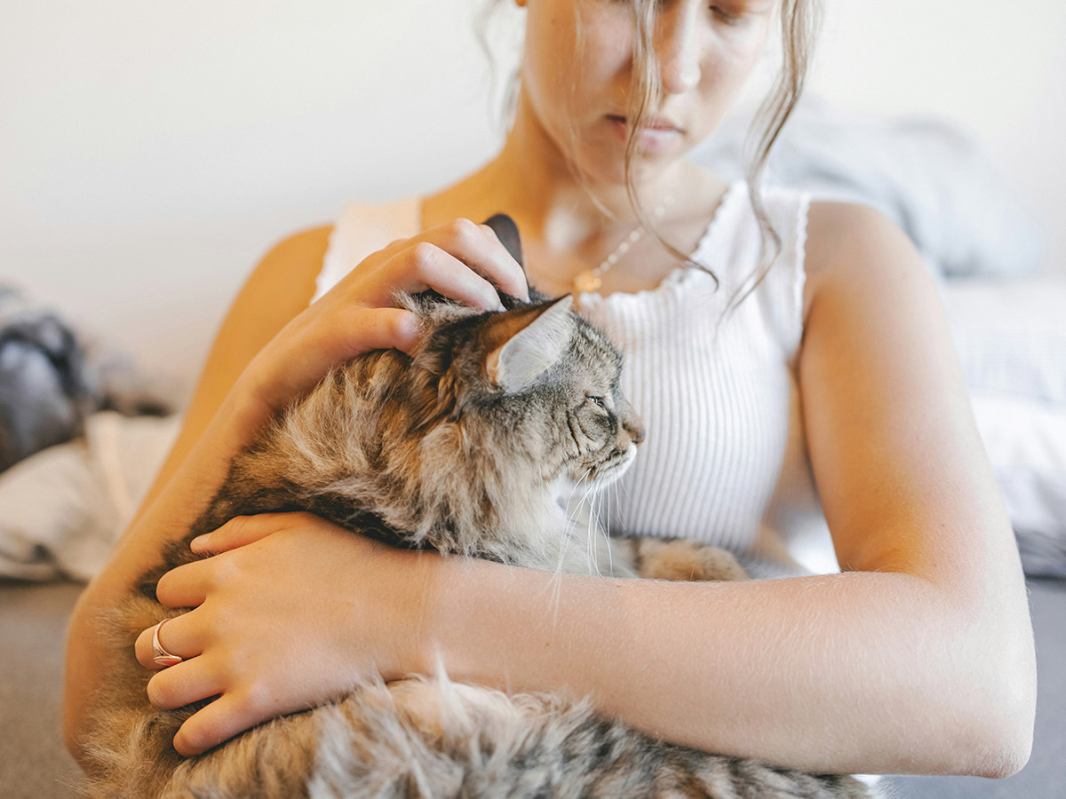 Girl petting her furry cat.