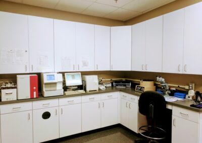 Lab with microscope and analyzers