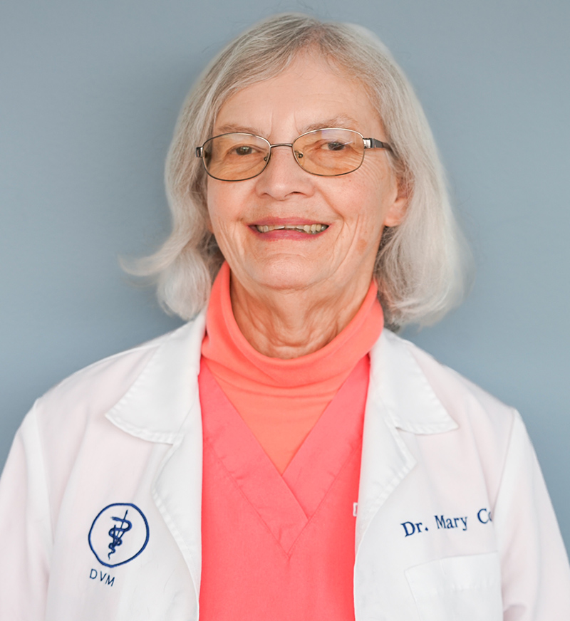 Mary Collisi, DVM