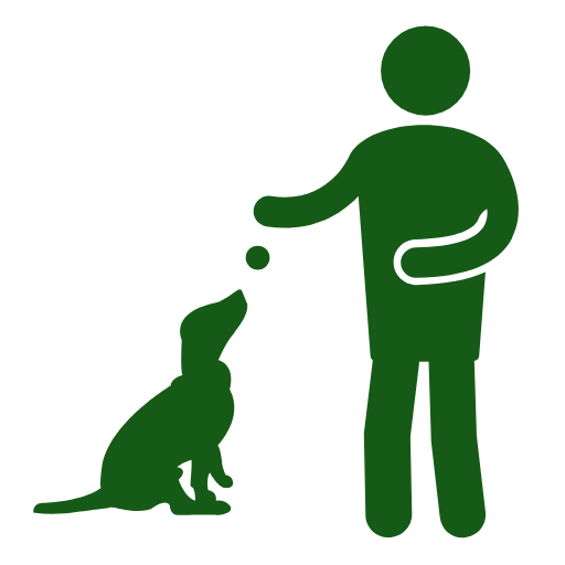 dog walking icon
