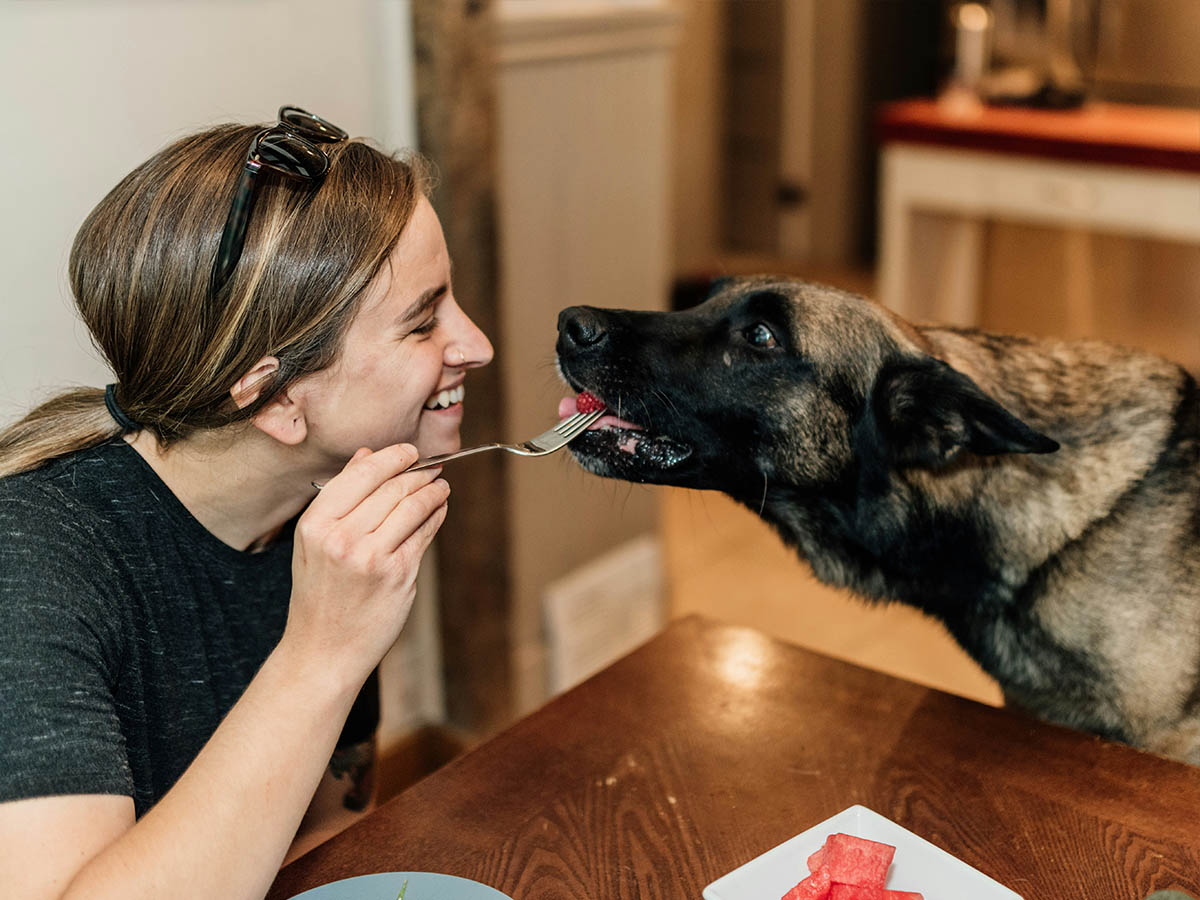 Smiling woman sharing food with dog