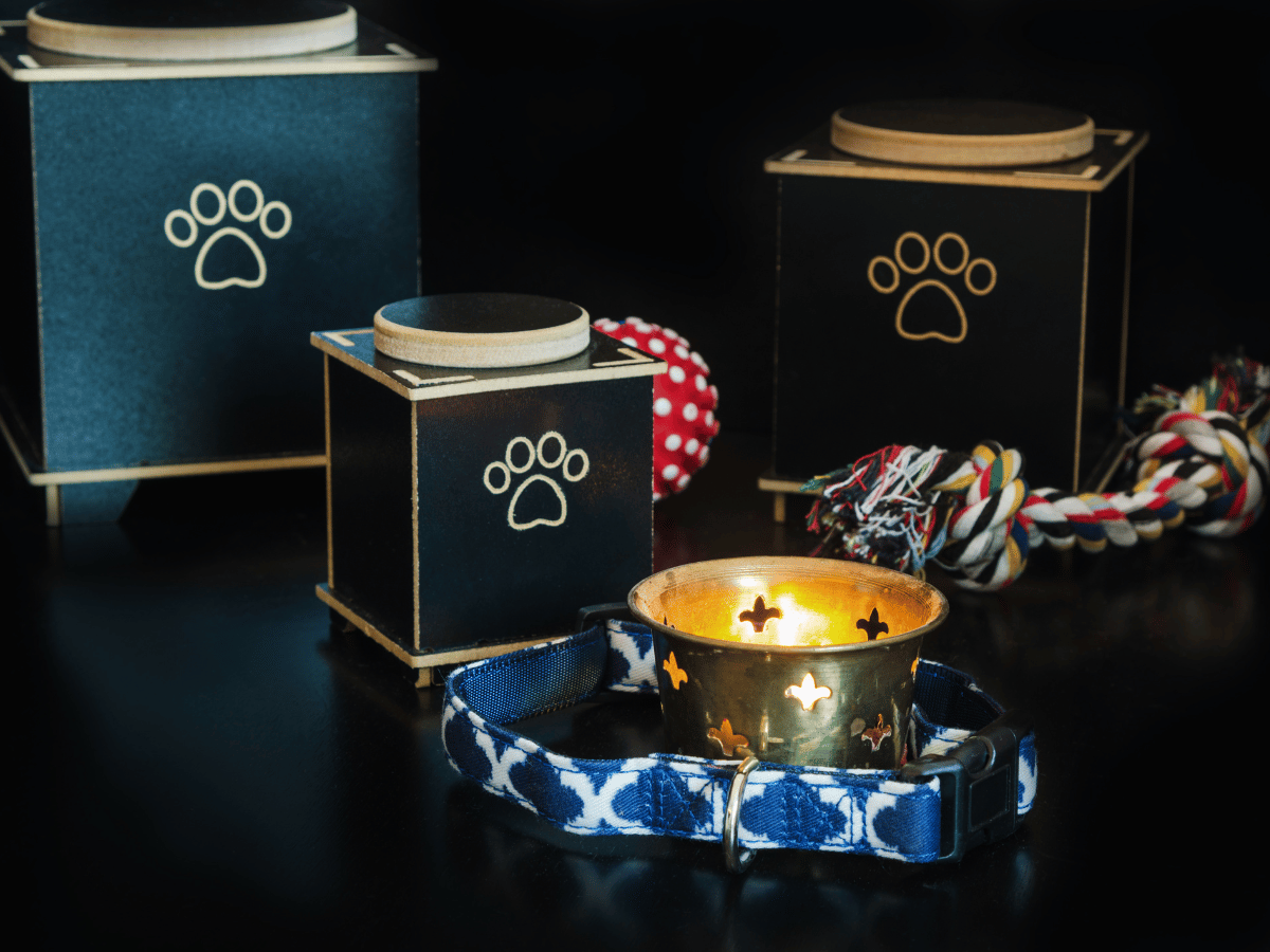 Puppy resting paw on dog.