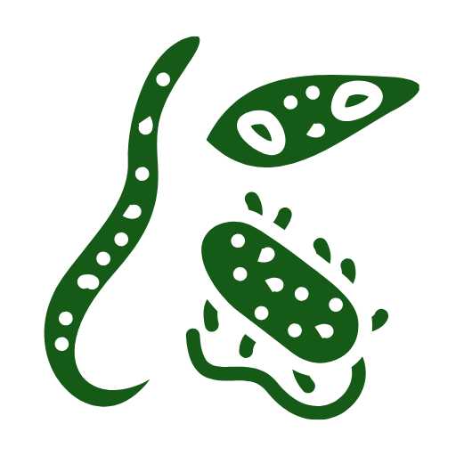 heartworm disease parasite icon